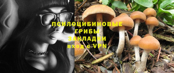 таблы Аркадак